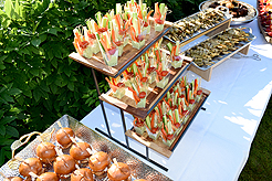 LAUNCH TO VANDERBILT